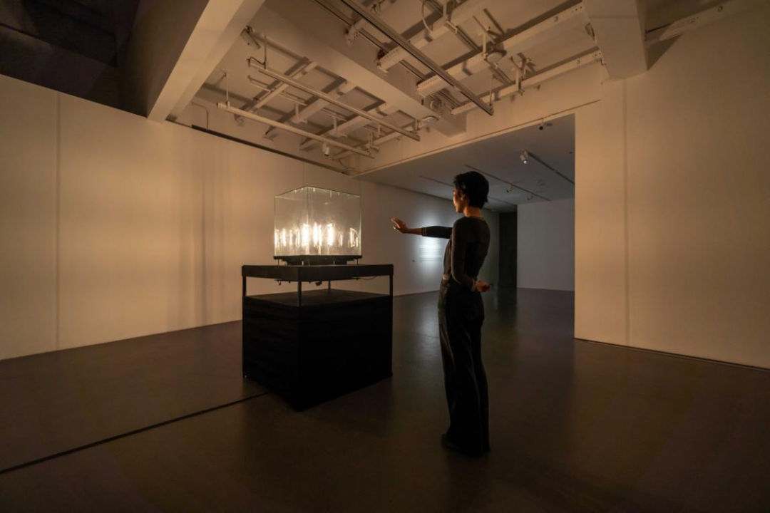 这个“黑科技”艺术展，让成都观众做了一场诗意的“电子梦”