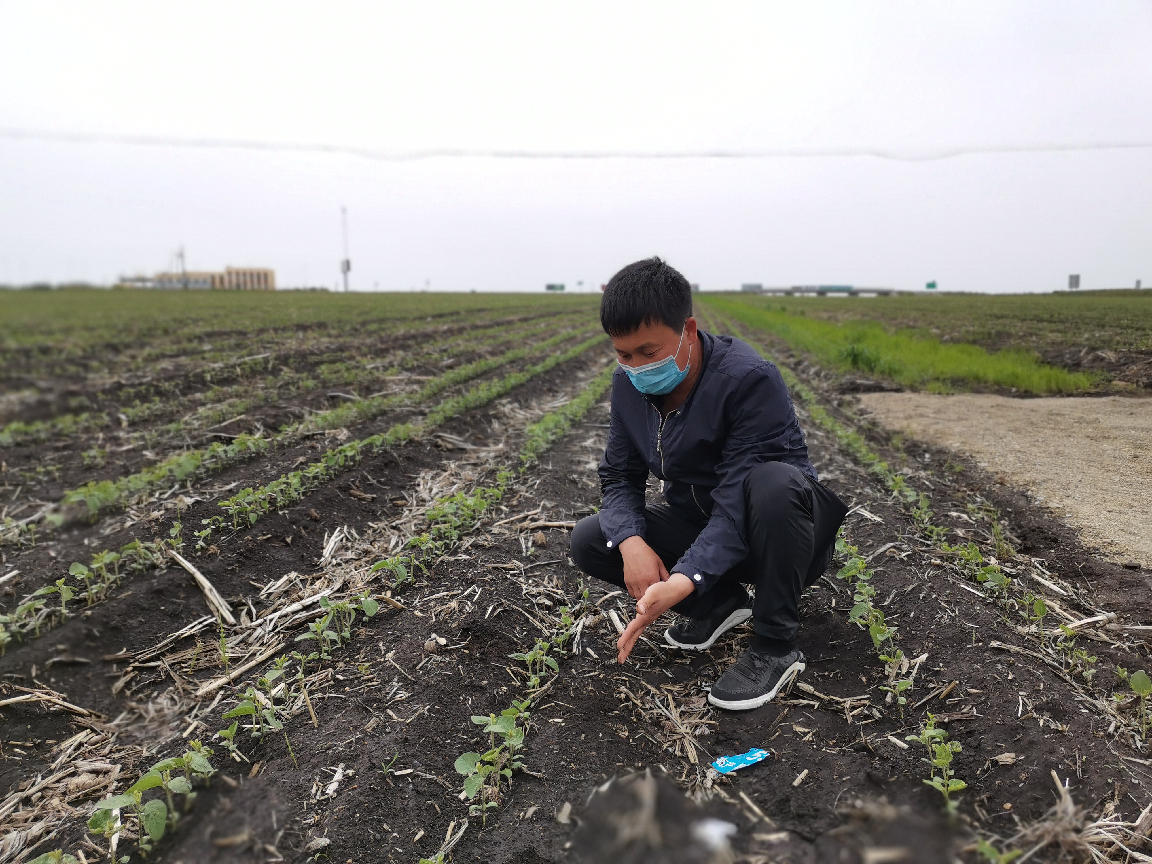 中国为黑土地保护立法夯实粮食稳产基础
