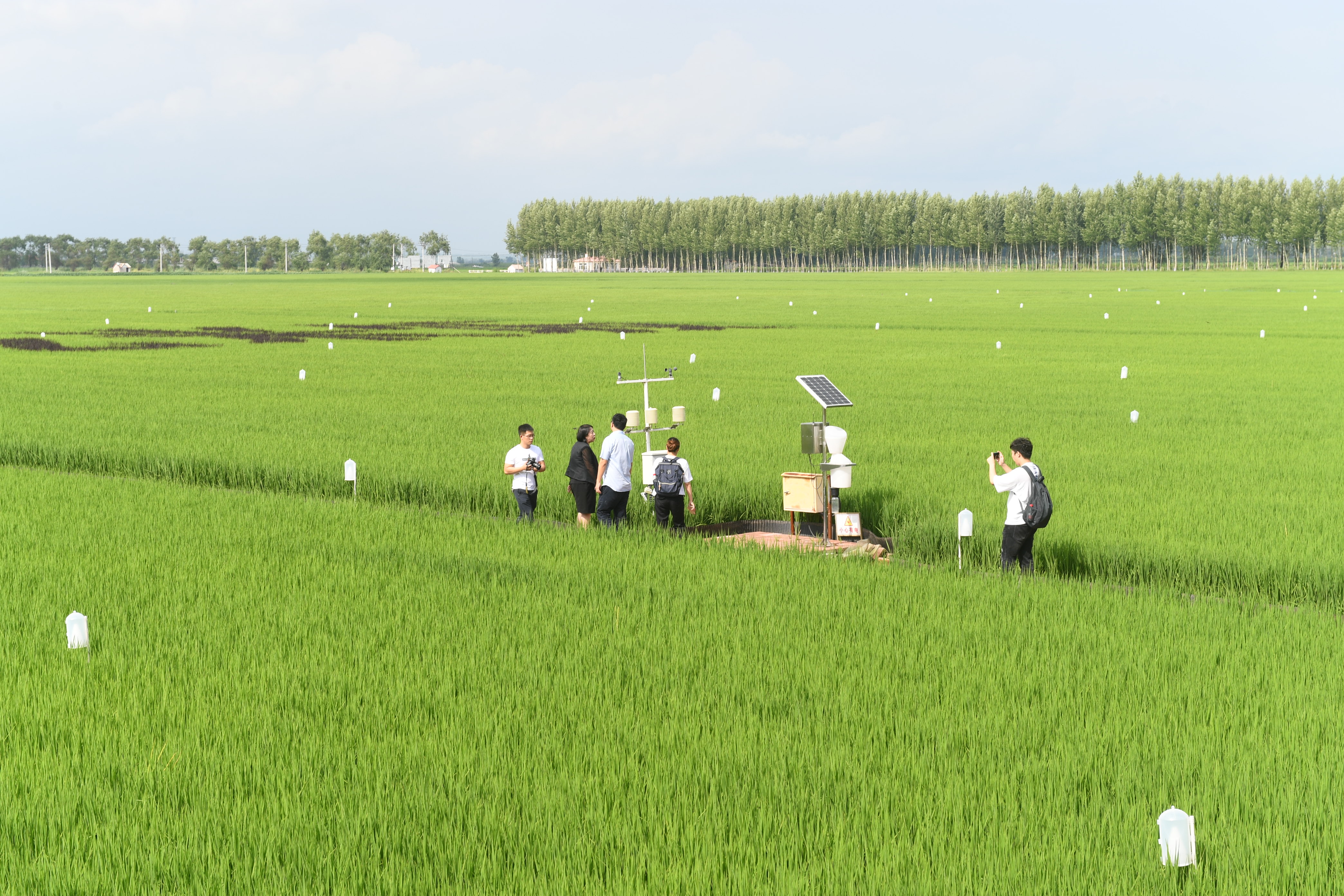 中国为黑土地保护立法夯实粮食稳产基础