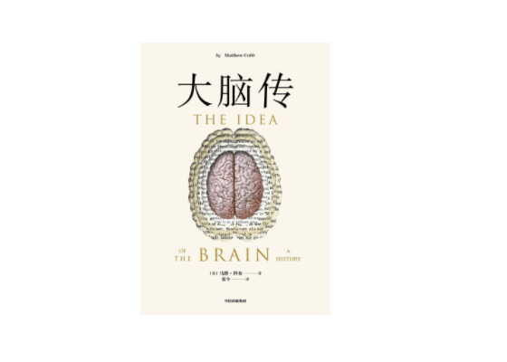 大脑、计算机与神经科学：脑科学能否改变人类的认知世界？