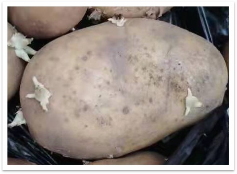 ��ѿ������������һ����