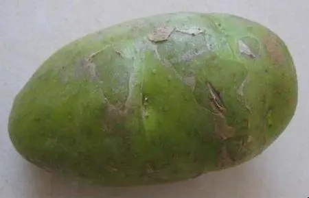 ��ѿ������������һ����