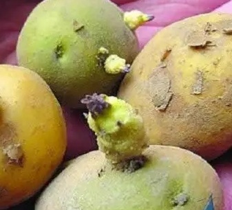 ��ѿ������������һ����