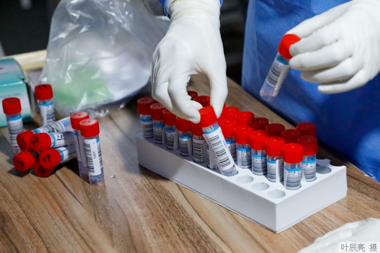 вѧר̬㡱ۺɱ͵Ŀ߲