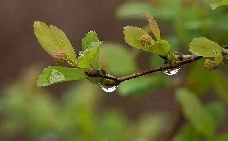 一花开知春色暖