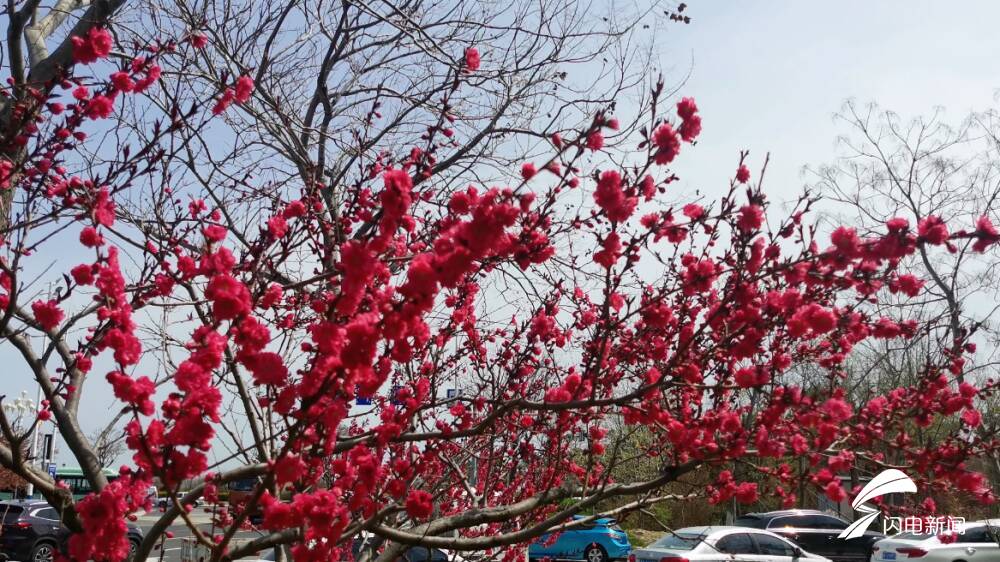 �������һ��� �����ƻ�