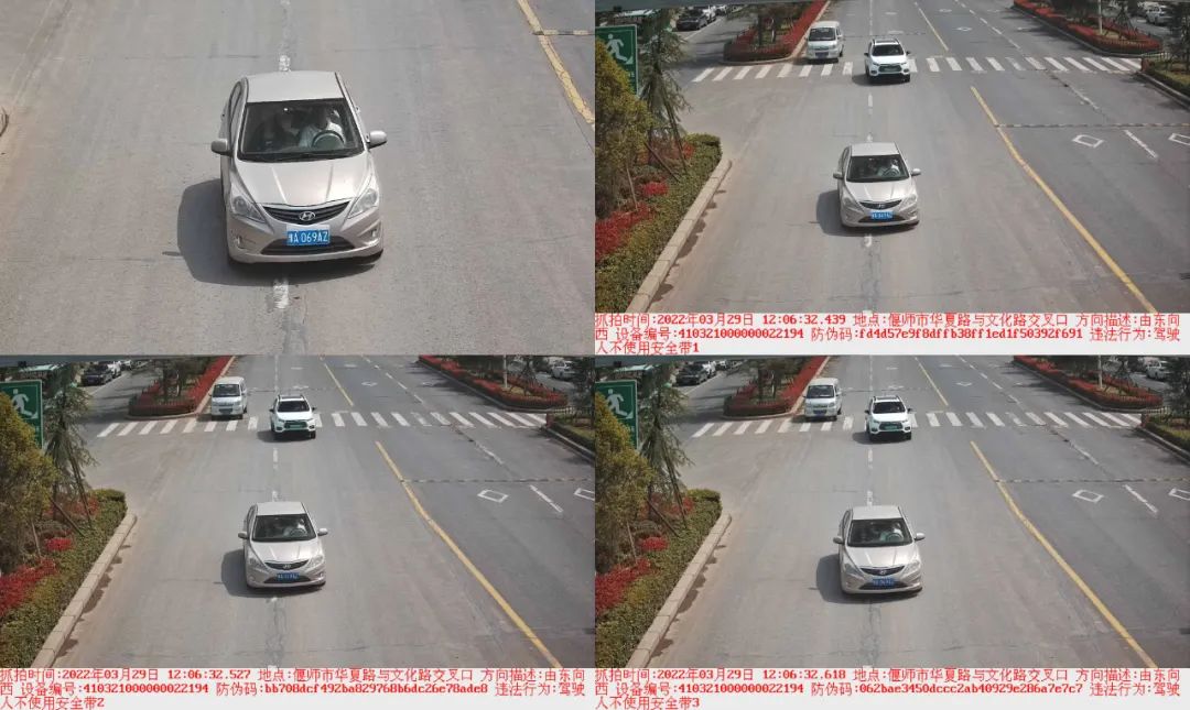 曝光台丨安全带是生命带 偃师交警曝光不系安全带违法车辆