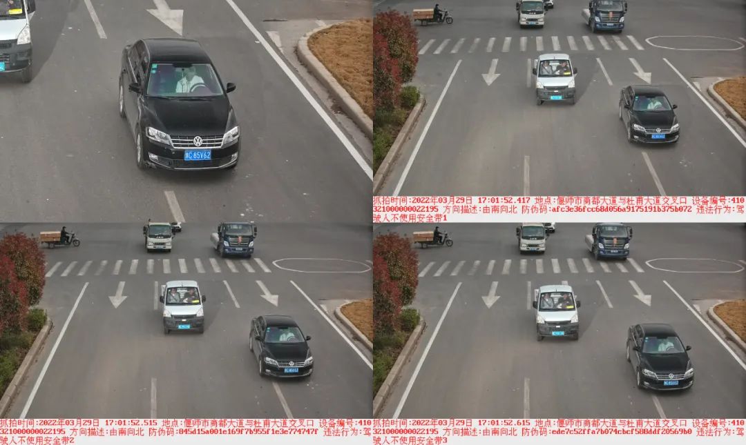 曝光台丨安全带是生命带 偃师交警曝光不系安全带违法车辆