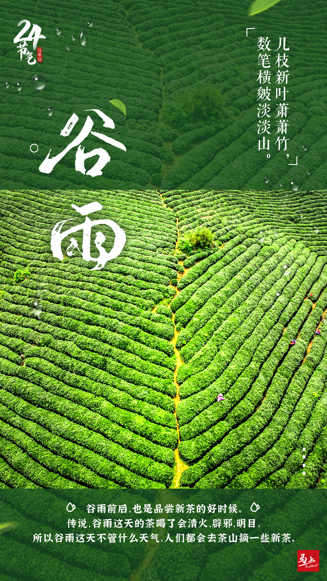 雨生百谷,夏日将至