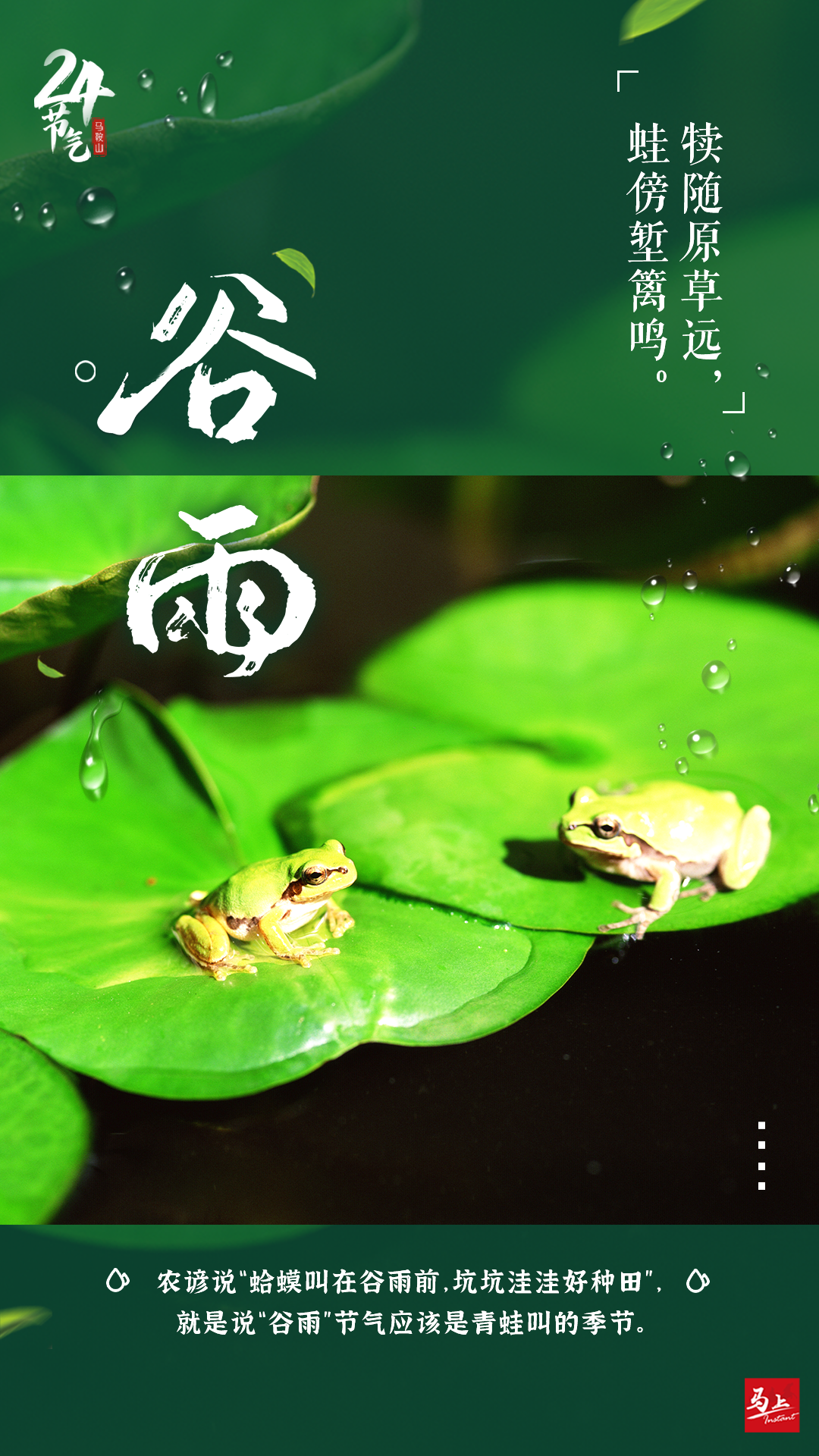 雨生百谷，夏日将至