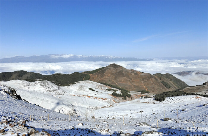 谷雨时节，来会泽大海草山看雪