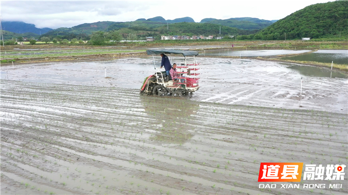 道县：多措并举 坚决打好早稻生产第一仗