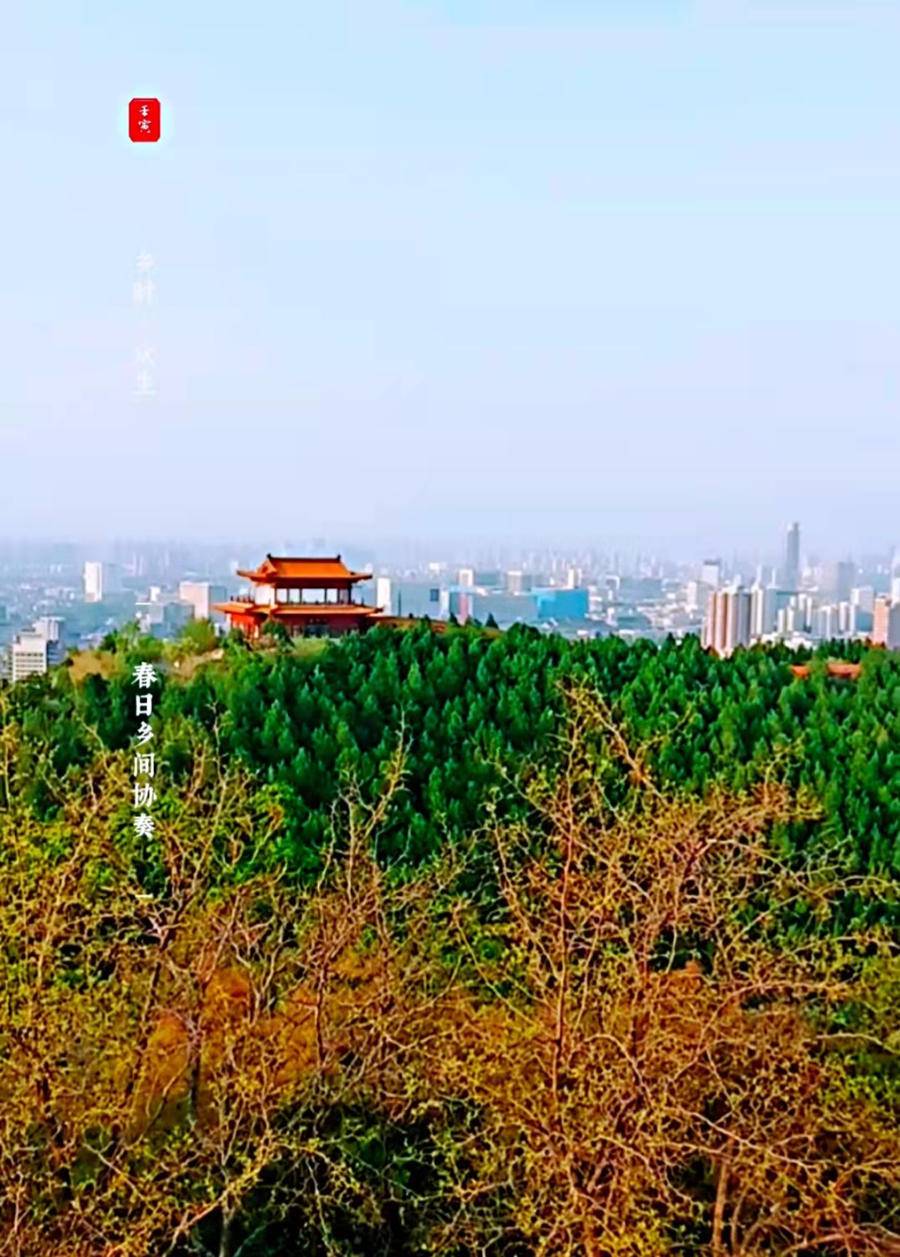 春花成梦影，新绿渐浓，赏一城山色，绿荫美景，静享一段美好时光