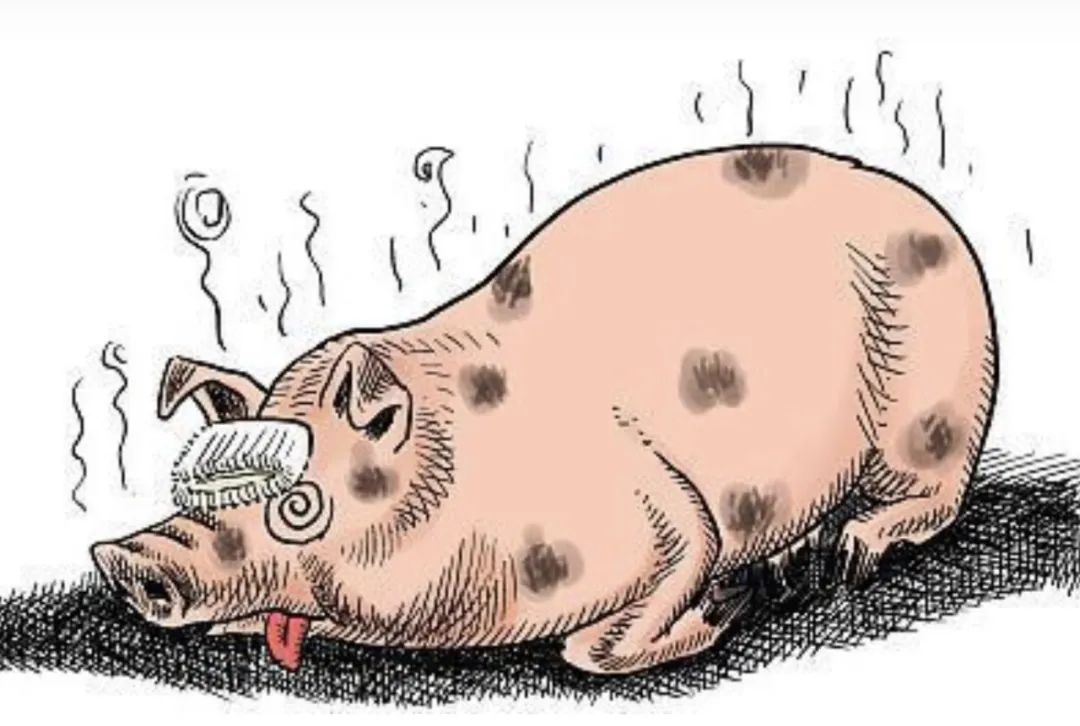 【炒股入门】【动植物检疫】关于防止意大利、北马其顿非洲猪瘟传入我国的公告解读