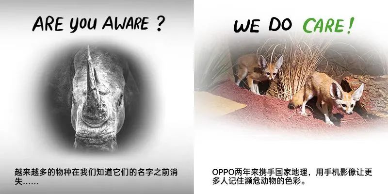世界地球日，OPPO用科技为地球添一抹绿色