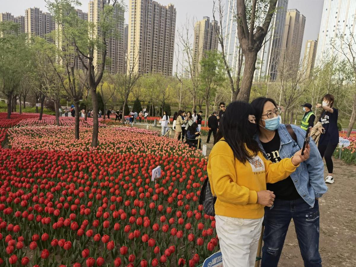 太原晋阳湖公园郁金香花展吸引大批市民参观