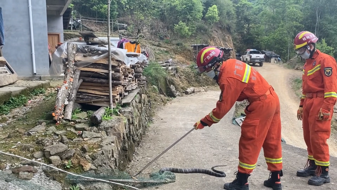 ����Ů�����ſڳ���һ���۾����ߣ�Ϊʲô�۾����߻ᵽ������У�