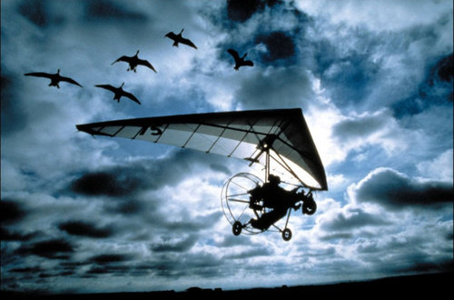 雅克·贝汉和他的自然世界