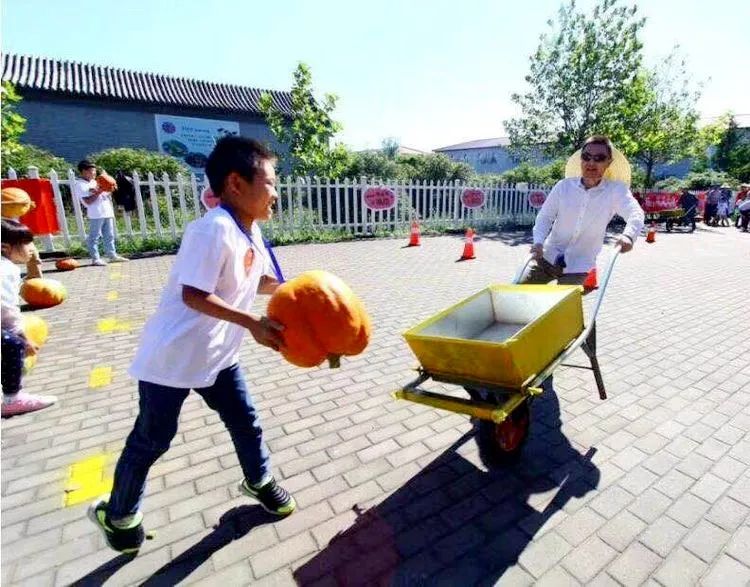 6-15周岁！五一假期，公开招募