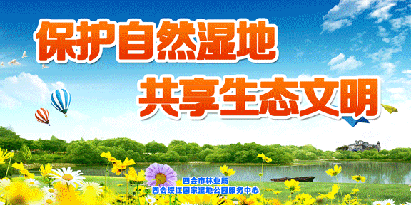 家长注意！2022年四会市小学一年级网上报名操作指引来啦！