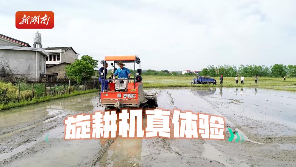 今天我來當(dāng)農(nóng)民丨像“田把式”一樣耕田