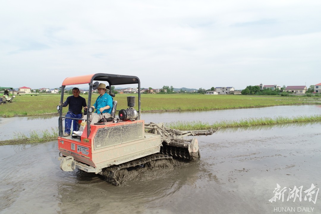 今天我來當(dāng)農(nóng)民丨像“田把式”一樣耕田