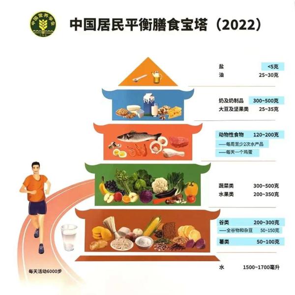 膳食宝塔食物模型2022膳食宝塔膳食指南