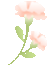 Ѫ