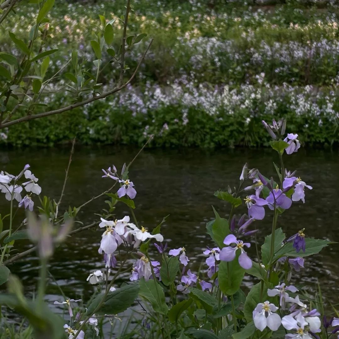 二十四节气 | 立夏