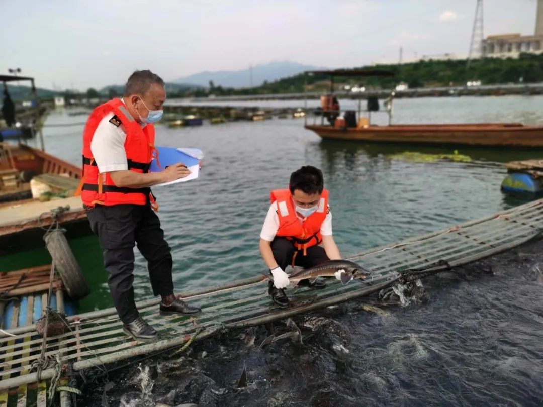 【動植物檢疫】有關(guān)鱘魚出口，你想知道的都在這里