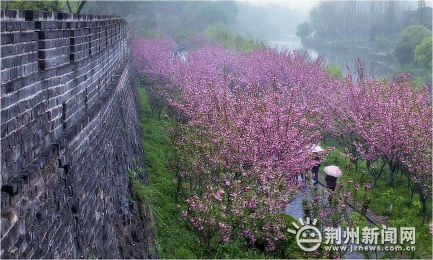 荆江评论：城墙免费开放，还荆风楚韵于民