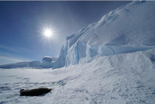 关于南极的12个 冷 知识 天天看点