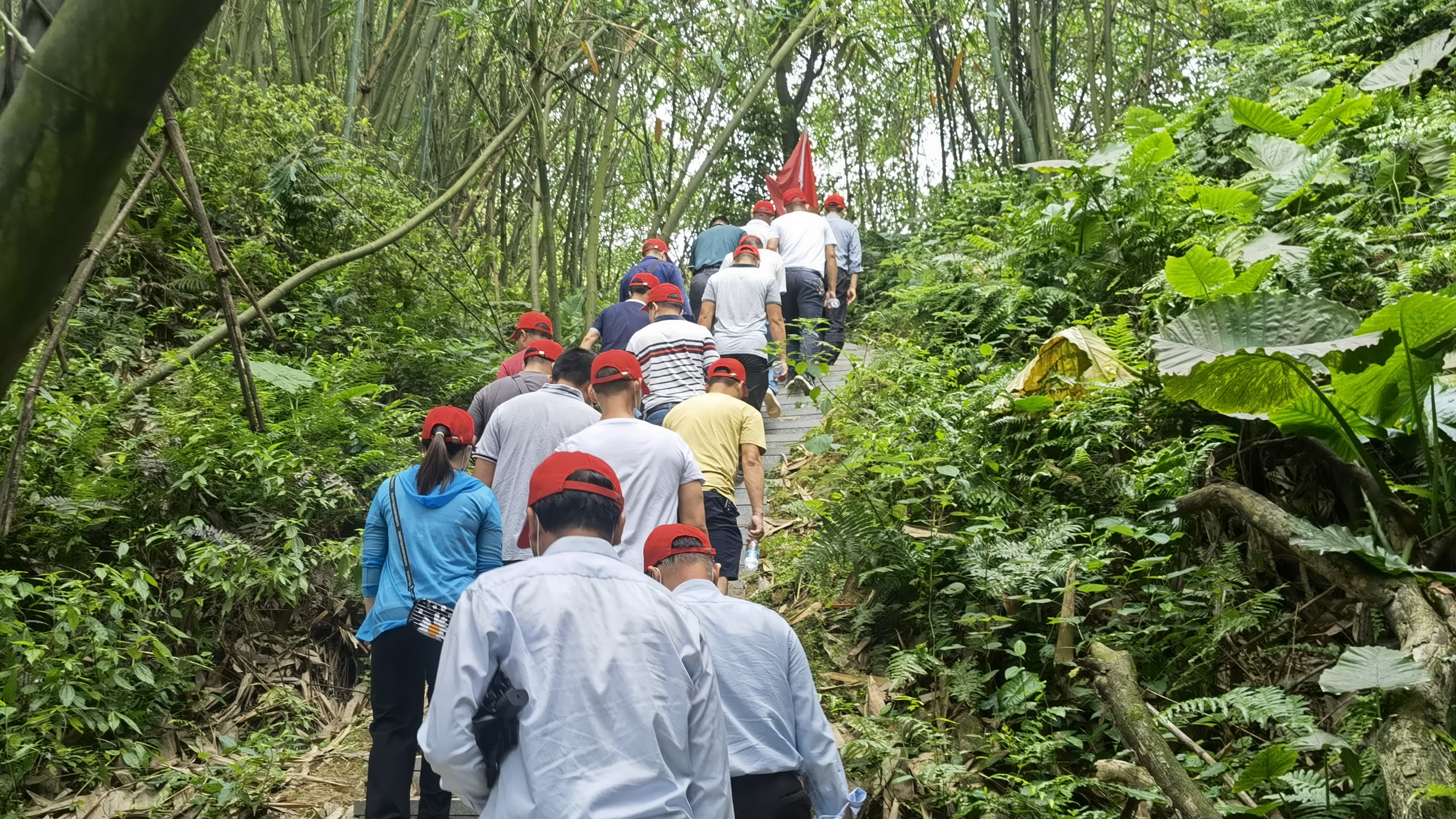 南靖龍山中學(xué)：開(kāi)展主題黨日活動(dòng)(圖1)