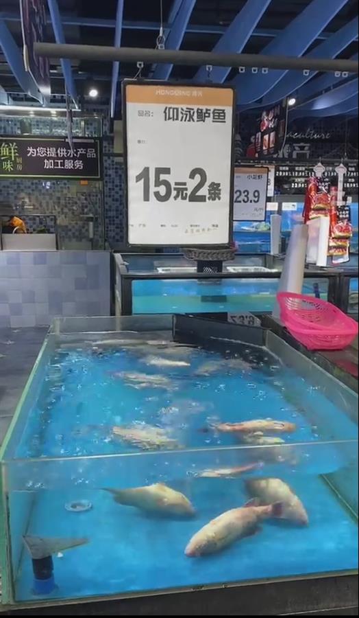 ���л�Ӧ&ldquo;��Ӿ����&rdquo;������15Ԫ���ܱ�֤�ǻ��