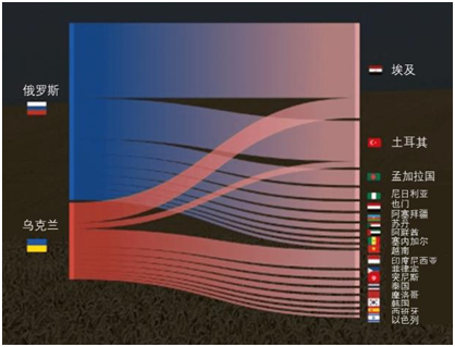 “粮食危机”幕后的真正黑手