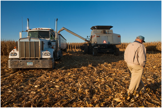 “粮食危机”幕后的真正黑手