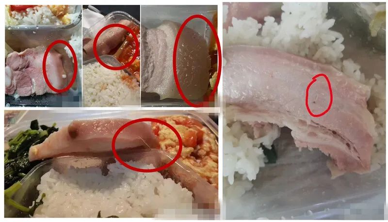 上海累计阳性近60万例，死亡超500例！同济大学盒饭里有猪毛和昆虫？生产商、供应商涉嫌违法！物流怎样保通保畅？交通部发声→