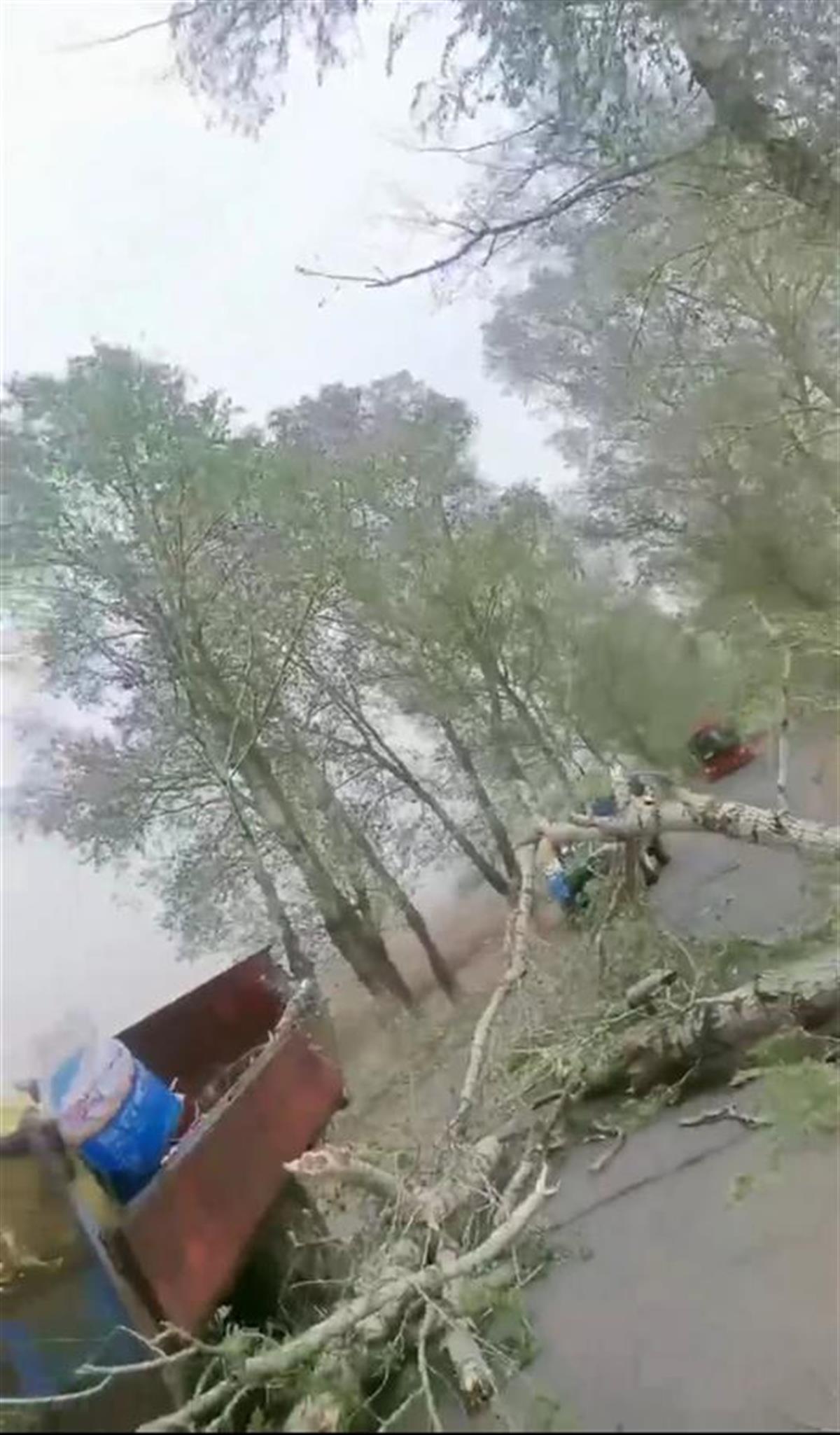 ��紵���������˳���Ů�ӣ�·���������