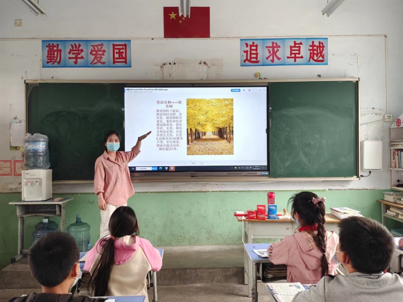 卢店镇刘家沟小学“登封市树市花”宣传活动(图1)