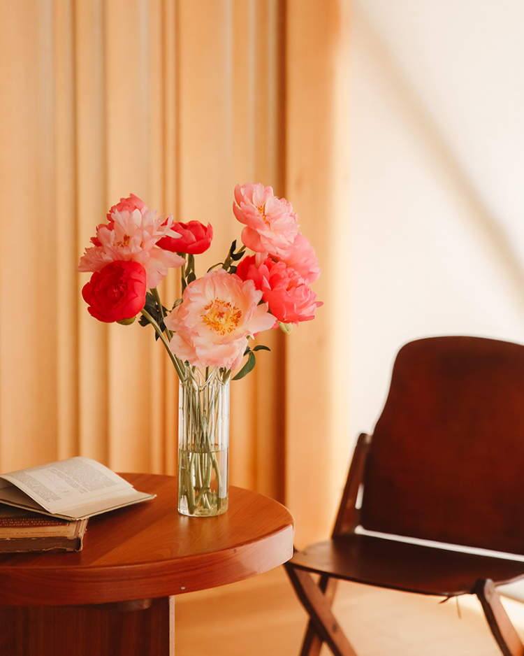 错过了它就错过了整个春天 芍药界的奥斯卡 了解一下 花博士小课堂 天天看点