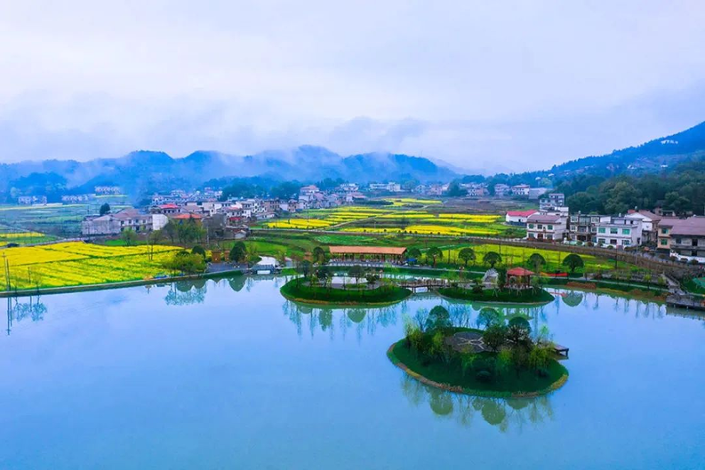 「奋进新征程 建功新时代·老区新貌」萍乡上栗描绘老区振兴美“栗”画卷