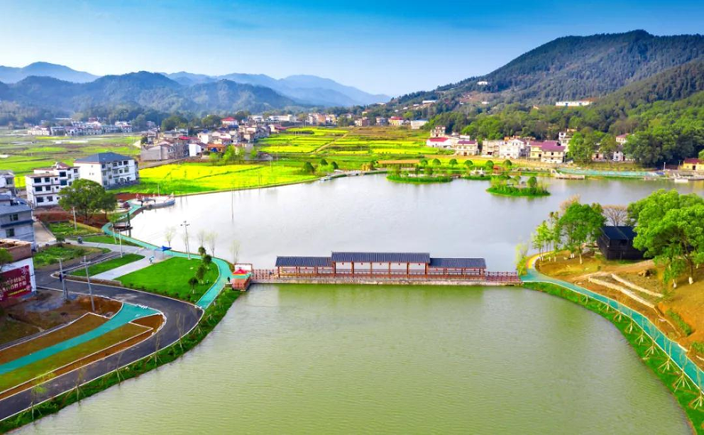 「奋进新征程 建功新时代·老区新貌」萍乡上栗描绘老区振兴美“栗”画卷