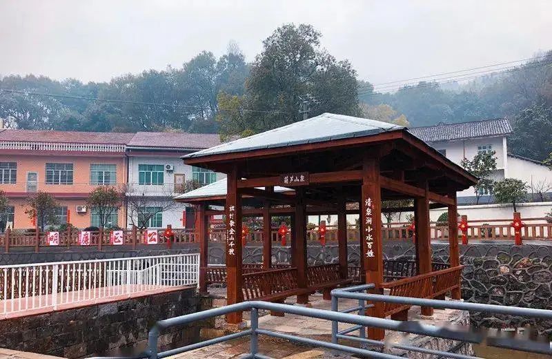 「奋进新征程 建功新时代·老区新貌」萍乡上栗描绘老区振兴美“栗”画卷