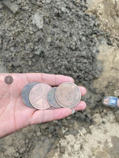 开封河滩发现古钱币，市民带金属探测器寻宝，官方：要上交