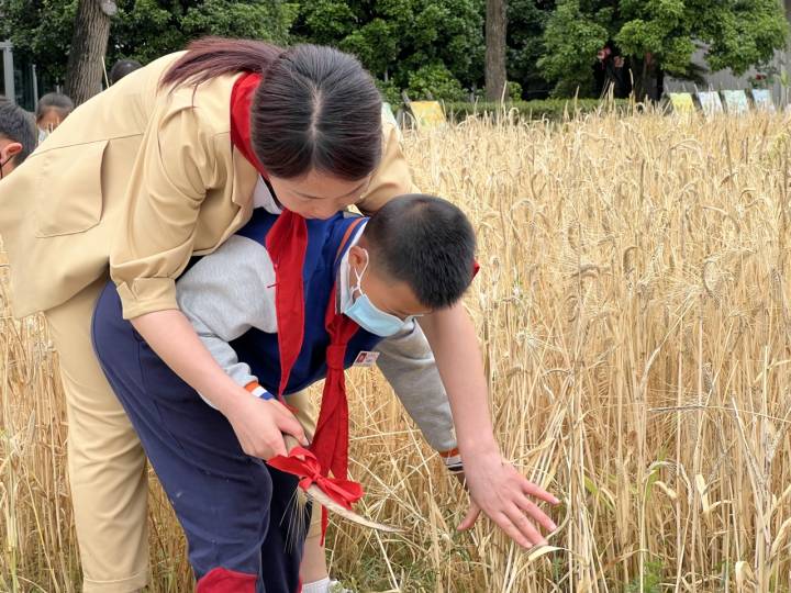 杭州市富阳区富春第七小学13年新劳动教育试验(图1)