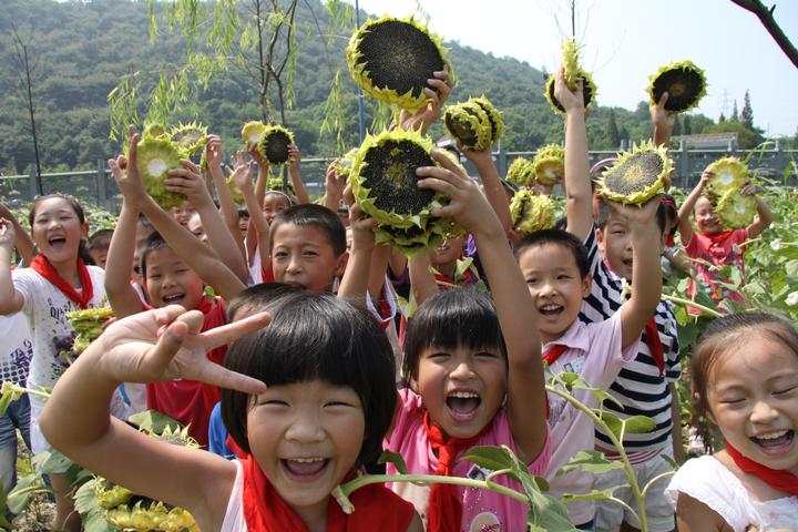 杭州市富阳区富春第七小学13年新劳动教育试验(图5)