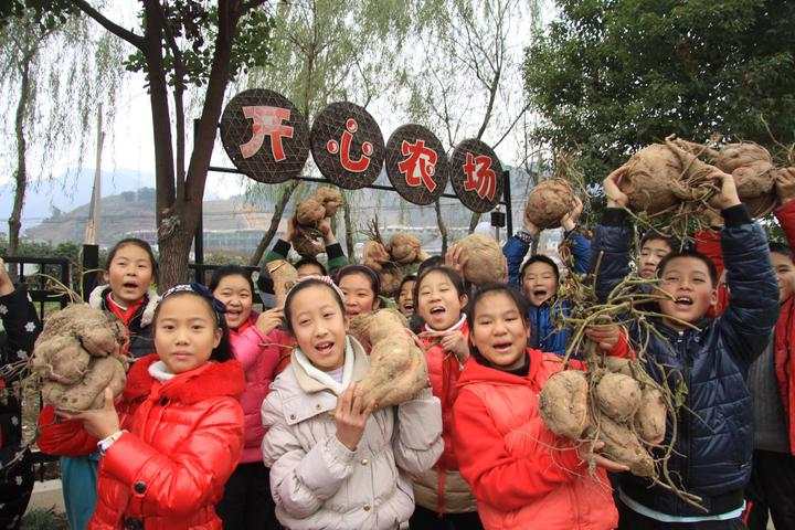 杭州市富阳区富春第七小学13年新劳动教育试验(图6)