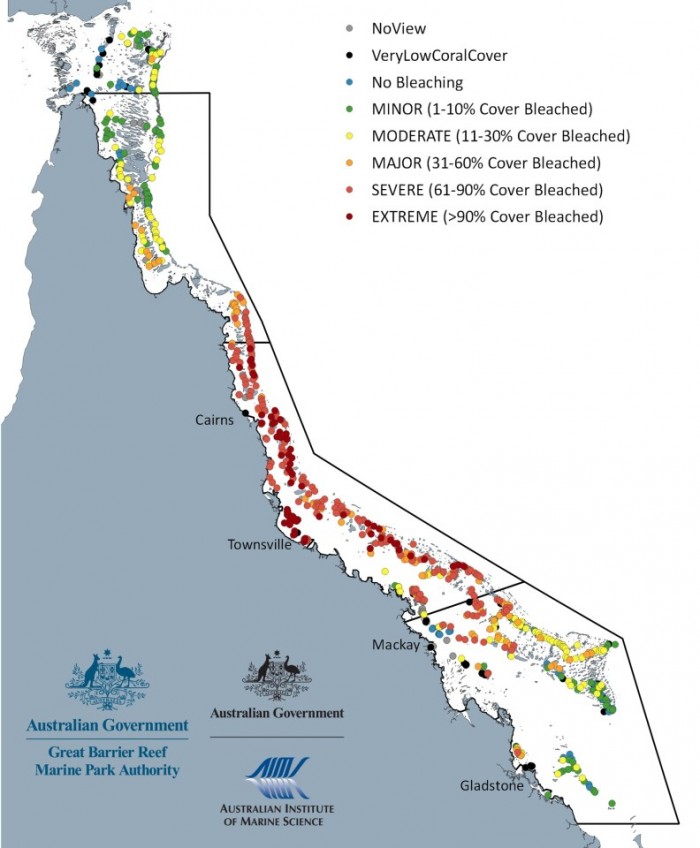 澳大利亚大堡礁在七年内经历了第四次珊瑚白化事件-第2张图片-IT新视野
