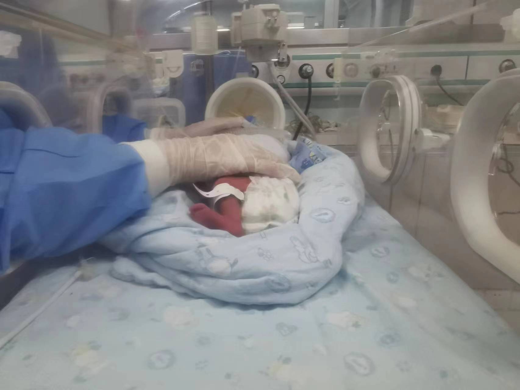 上海一妇婴平安降生五千余名新生儿(上海一妇婴生孩子)