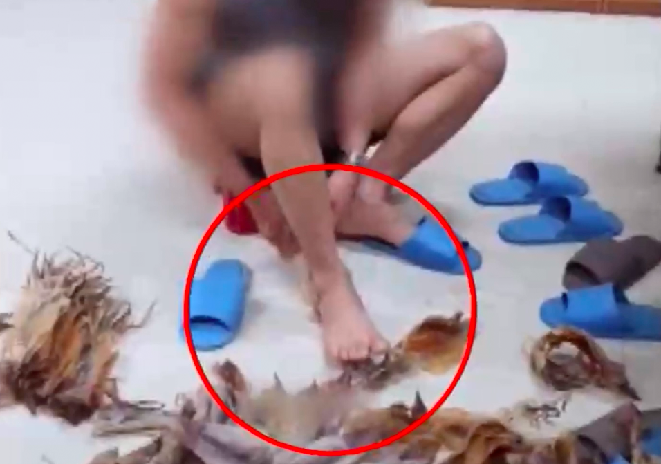 又一起！“脚踩鱿鱼干”视频激怒韩国，韩网友：“再也不敢吃了”
